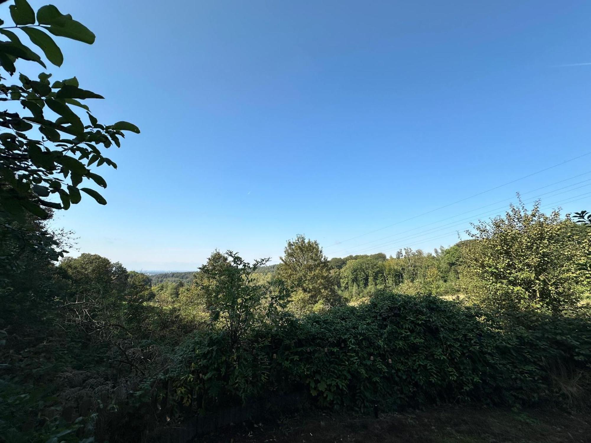 Zentrale Lage Zu Koeln Mitten In Der Natur! Bergisch Gladbach Ngoại thất bức ảnh